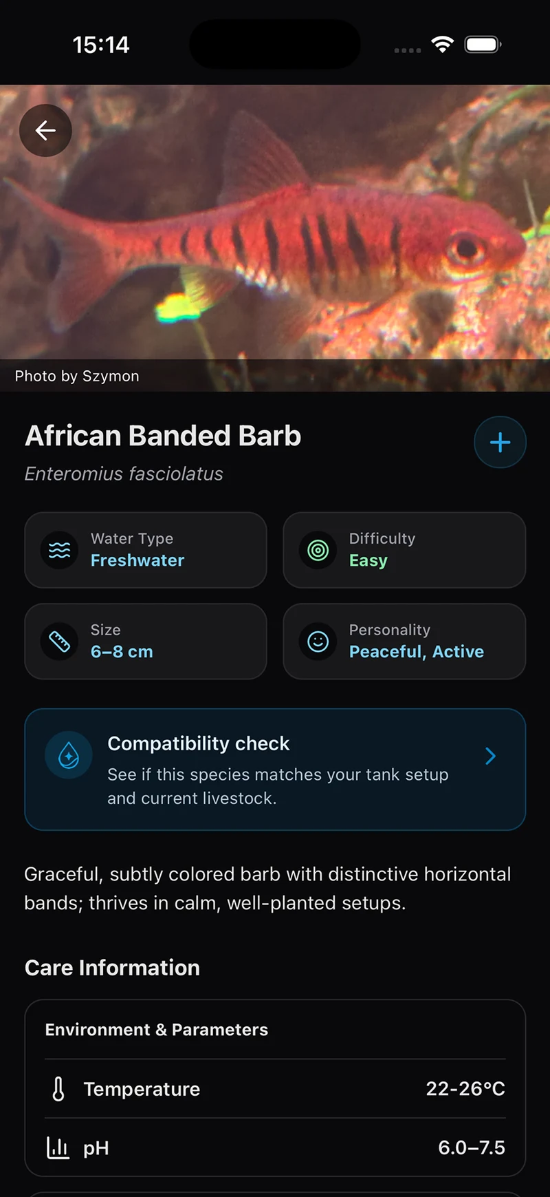 African Banded Barb species profile and compatibility check